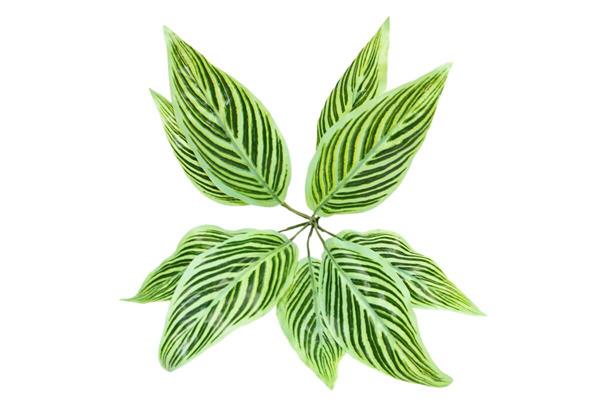 Yapay 9 Dal Yeşillik