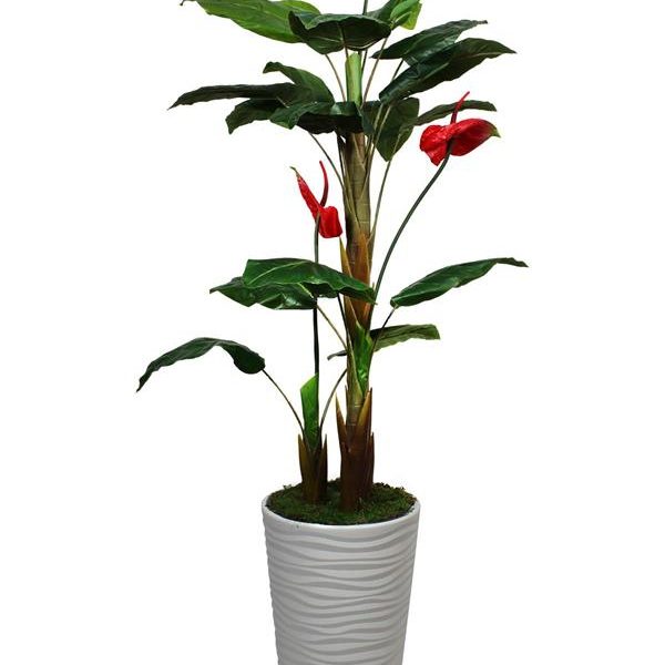 Yapay Ağaç Antoryum Çiçeği 180 Cm