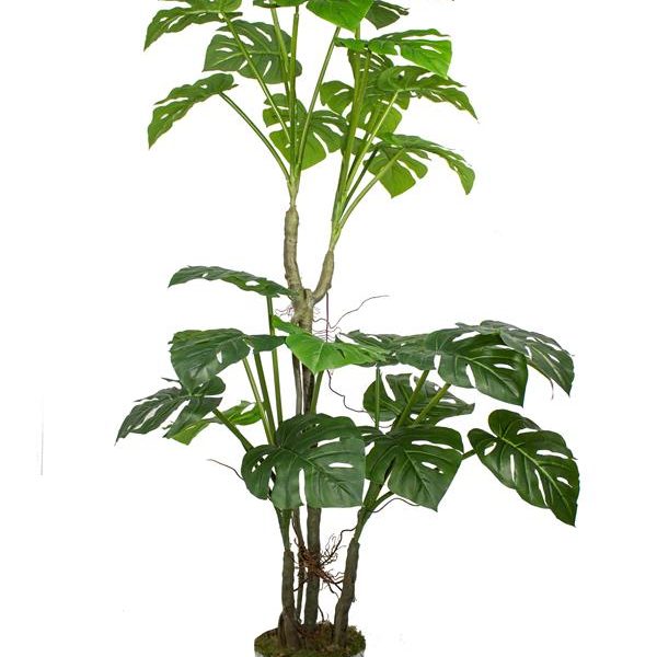 Yapay Ağaç Monstera 170 Cm 29 Yaprak
