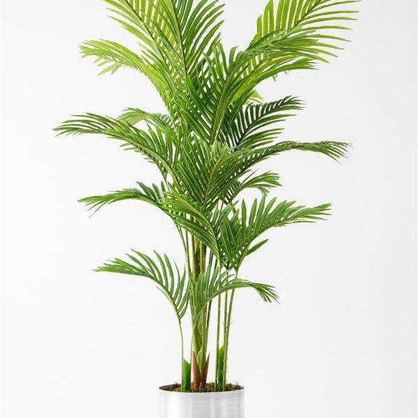 Yapay Areka Palmiyesi 195 Cm