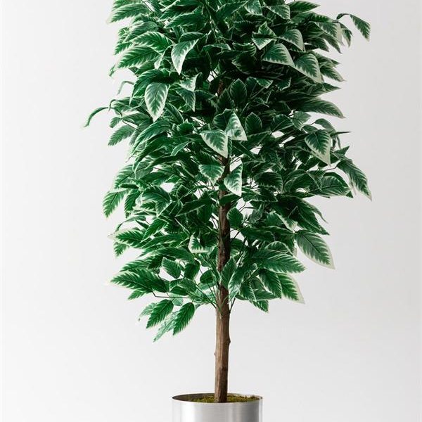 Yapay Ceviz Ağacı Beyaz 180 Cm