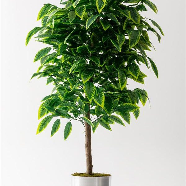 Yapay Ceviz Ağacı Sarı 180 Cm