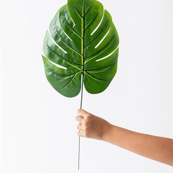 Yapay Deve Tabanı Yaprağı