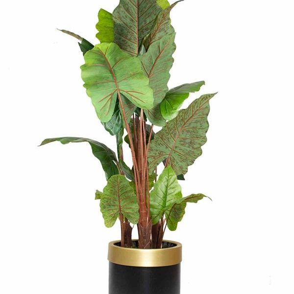 Yapay Difenbahya Ağacı 150 Cm