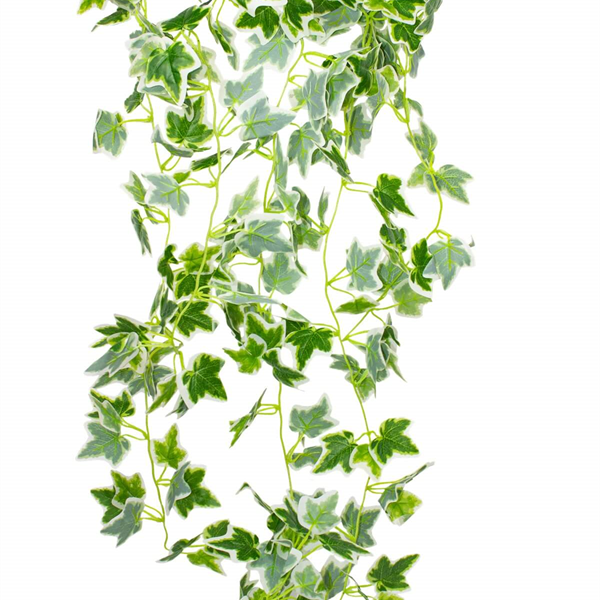 Yapay Hedera Sarmaşık