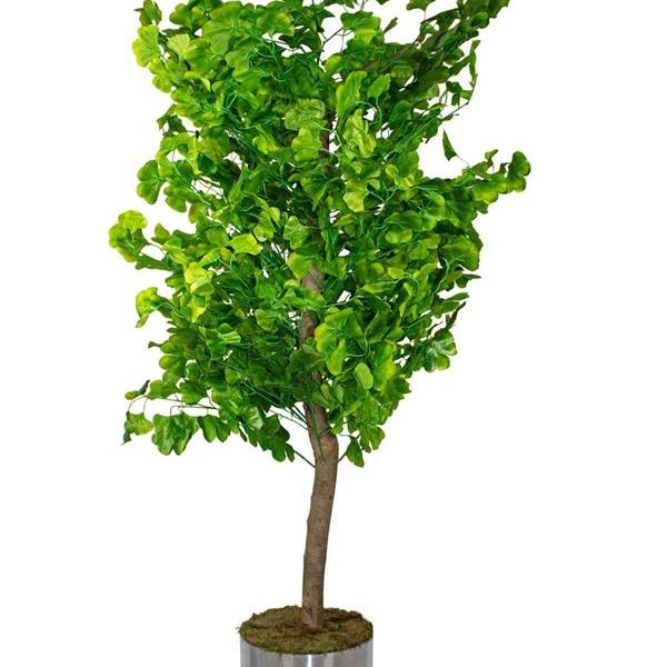 Yapay Mabet Ağacı Yeşil (Grinko Biloba) 180 Cm