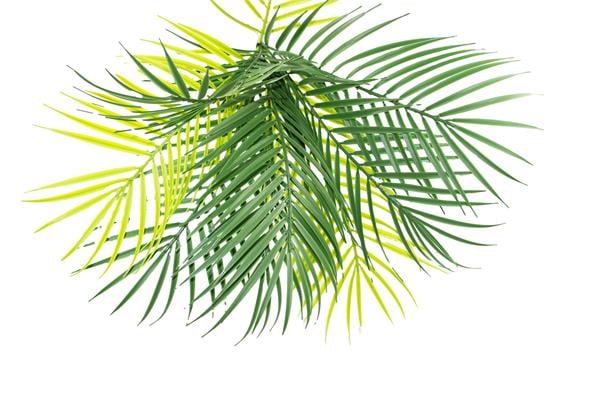 Yapay Palmiye Yaprağı 9 Dallı Demet