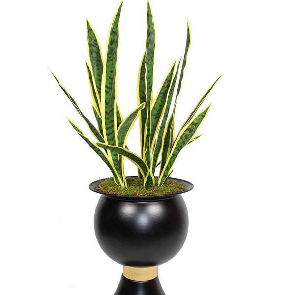 Yapay Paşa Kılıcı Ağacı 100 Cm 25 Dal