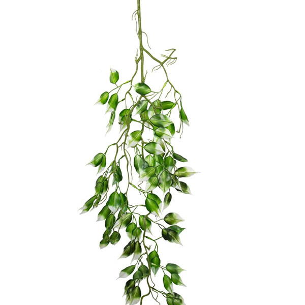 Yapay Sarmaşık 96 Yapraklı