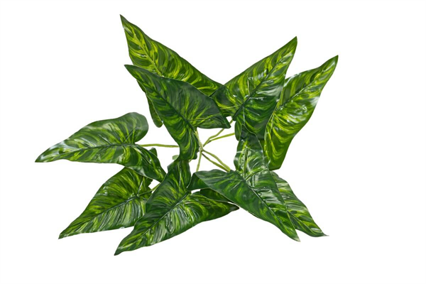 Yapay Yıldız Çiçeği