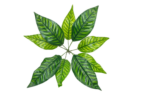 Yapay Yıldız Çiçeği Koyu Yeşil Desenli